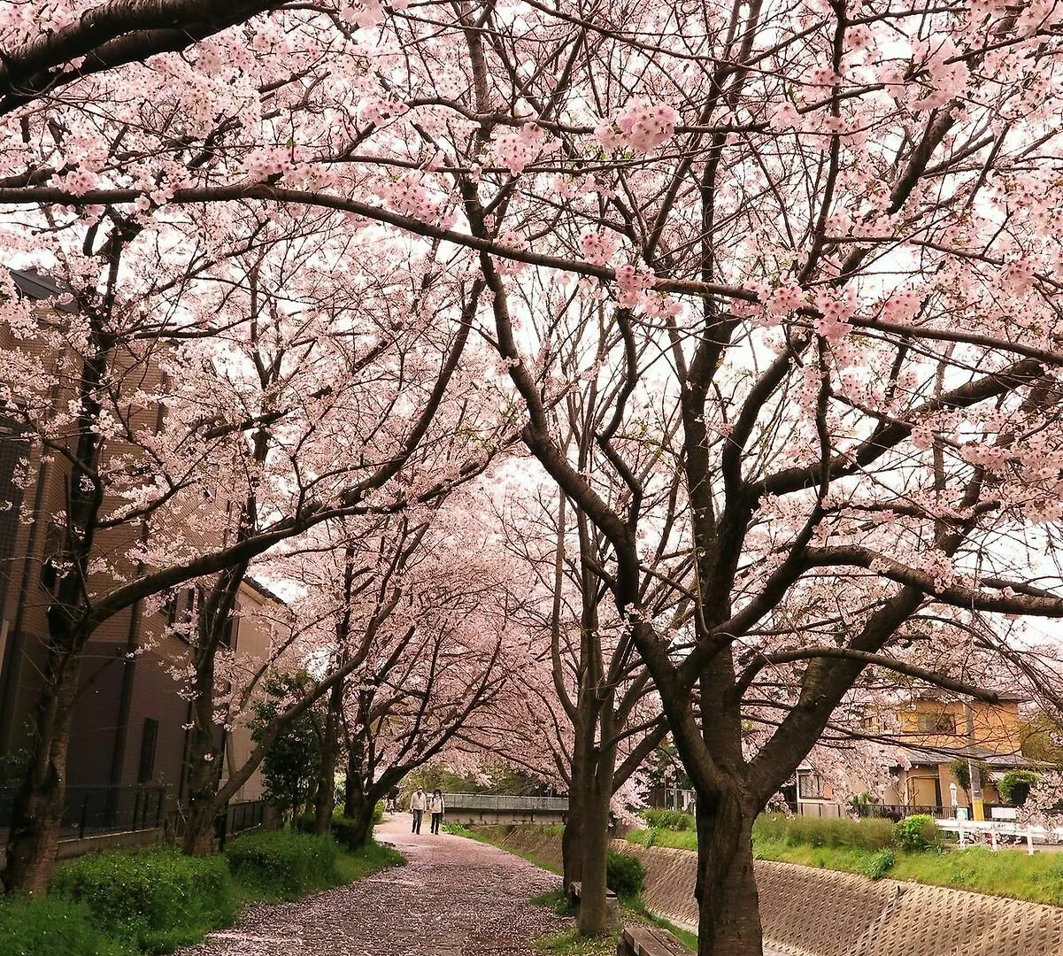 Wanokura Hotel Kyoto 3*,
